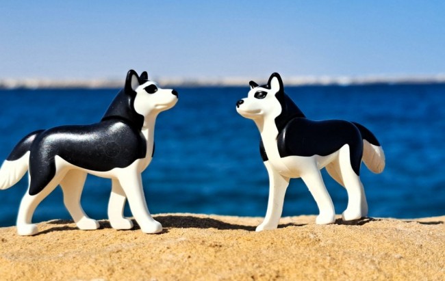 20251228_122844[1] Ägypten 4_klein.jpg