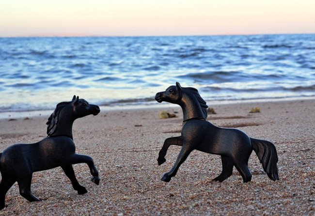 20251230_164223[1] Ägypten 3_klein.jpg