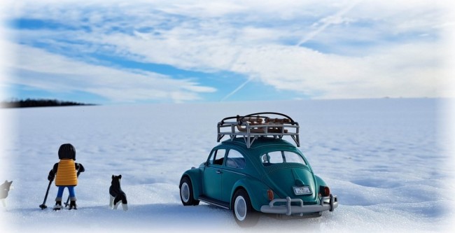 20260127_135130[1] Käfer_klein.jpg