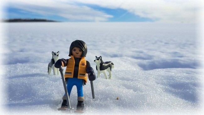 20260127_134916[1] Ski fahrn_klein.jpg