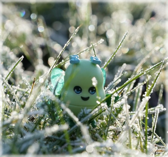 Joyling.jpg (197.45 KiB) 488 mal betrachtet Joyling.jpg