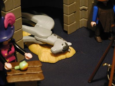 19-01-Grauschimmel_krank.jpg