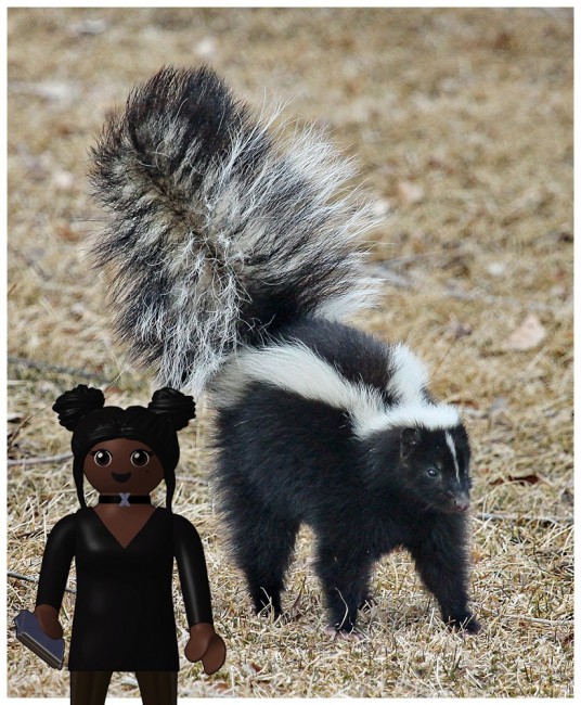 Skunk.jpg