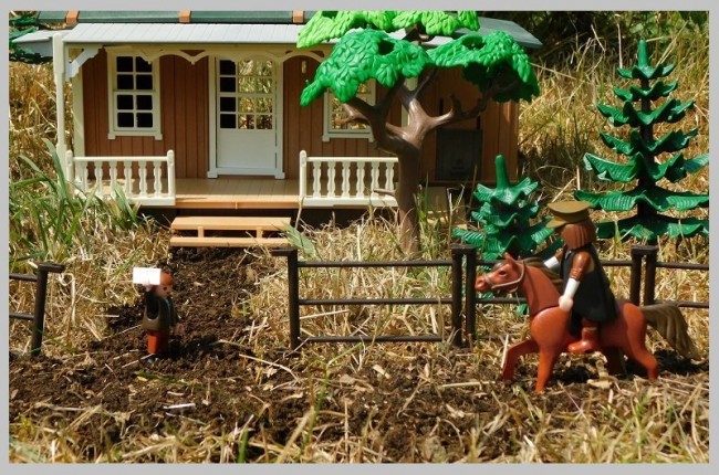 Postman 1 - Kopie.JPG