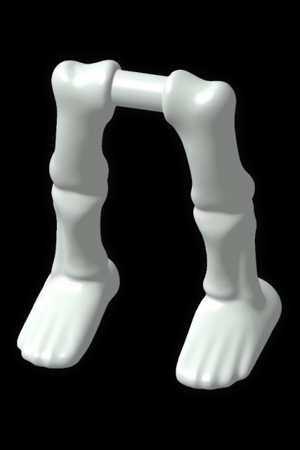Skelett_Beine.jpg