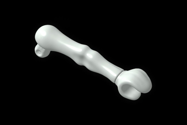 Skelett_Arm_links.jpg