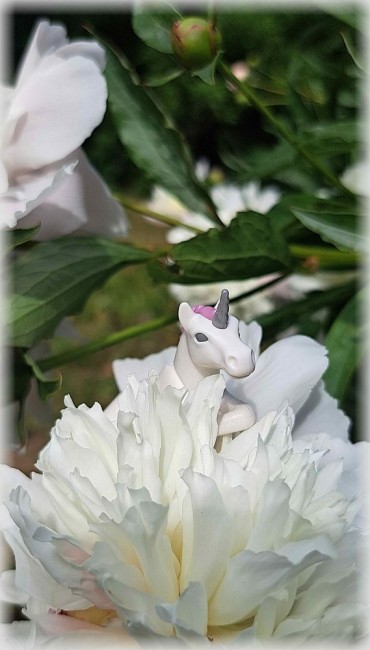 20260531_094454[1] Einhorn_klein.jpg