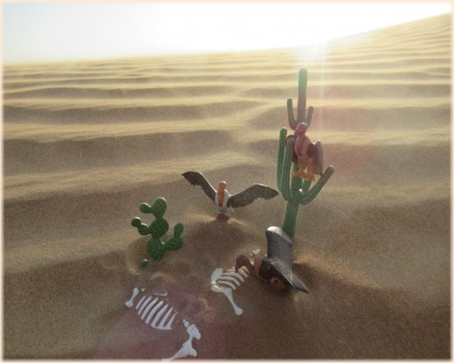IMG_1759 FW - 9.jpg