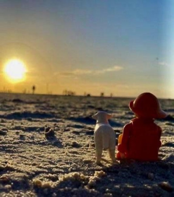 Die tief stehende Sonne taucht Strand und Meer in ein warmes, goldenes Licht. Ein stiller Augenblick an der Nordsee, in dem Licht, Weite und Natur zu einer ganz besonderen Stimmung verschmelzen