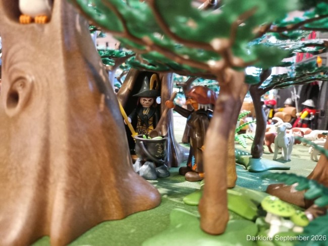 20260919_095557.jpg
