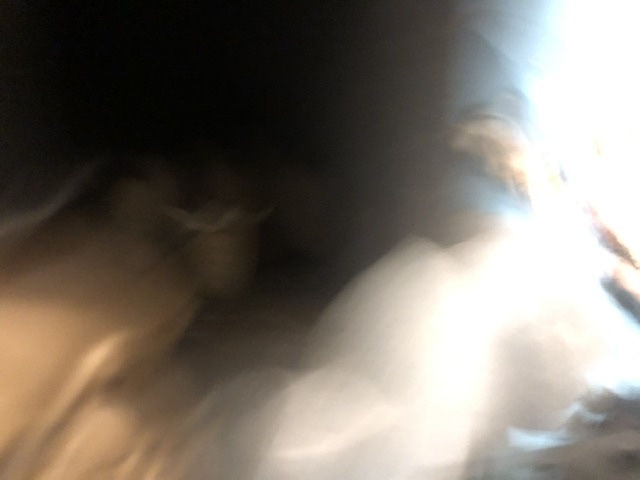 IMG_7986.jpeg