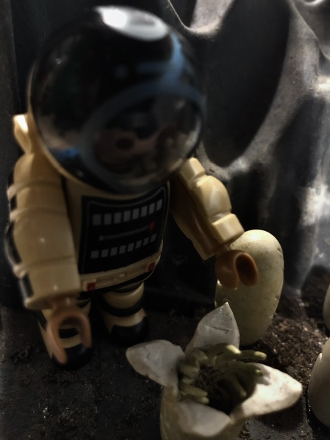 IMG_7992.jpeg