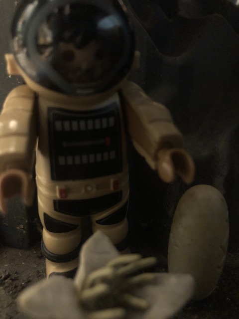 IMG_7995.jpeg