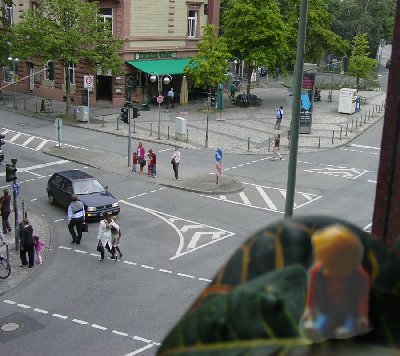 Dschungelblick.jpg (196.76 KiB) 1469 mal betrachtet Blick aus dem Fenster
