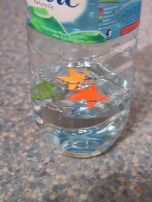 NIM3.jpg (126.58 KiB) 1011 mal betrachtet NIM3.jpg