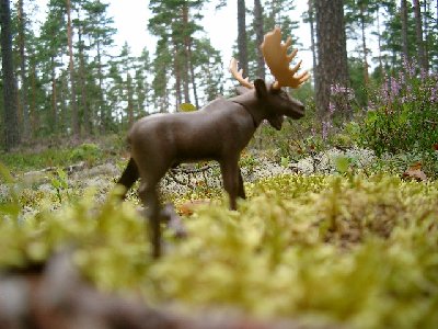 Bild 018.jpg (172.36 KiB) 2386 mal betrachtet Bild 018.jpg