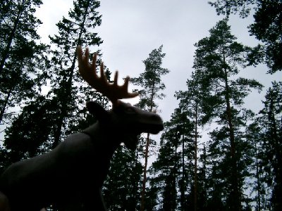 Bild 016.jpg (176.29 KiB) 2385 mal betrachtet Bild 016.jpg