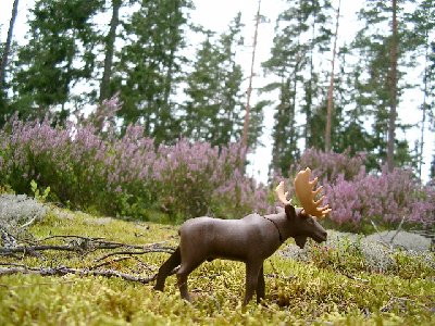 Bild 014.jpg (179.46 KiB) 2386 mal betrachtet Bild 014.jpg