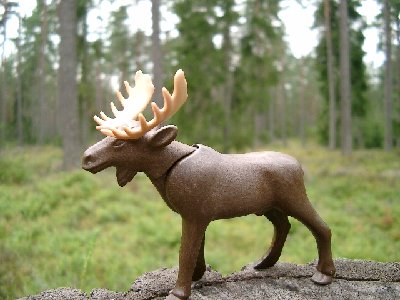 Bild 012.jpg (169.76 KiB) 2383 mal betrachtet Bild 012.jpg