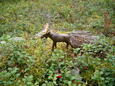 Bild 007.jpg (187.17 KiB) 2385 mal betrachtet Bild 007.jpg