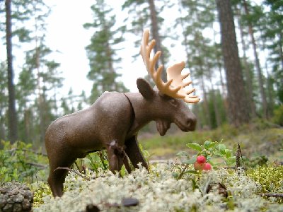 Bild 020.jpg (173.46 KiB) 2394 mal betrachtet Bild 020.jpg