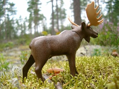 Bild 019.jpg (173.01 KiB) 2387 mal betrachtet Bild 019.jpg