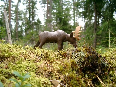 Bild 021.jpg (179.35 KiB) 2385 mal betrachtet Bild 021.jpg