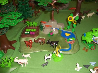 100_5025.JPG (99.4 KiB) 783 mal betrachtet 100_5025.JPG