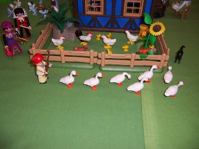 100_5024.JPG (84.96 KiB) 699 mal betrachtet 100_5024.JPG