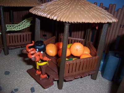 100_5043.JPG (88.47 KiB) 1337 mal betrachtet Kürbisse zum verfeinern der Dinos am Spieß
