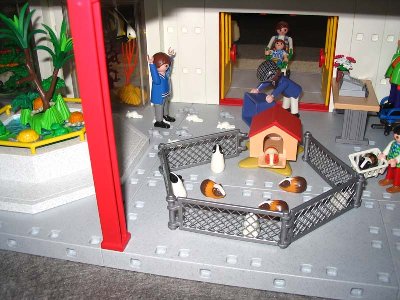 Ohne Titel-81.jpg (80.42 KiB) 950 mal betrachtet Ohne Titel-81.jpg