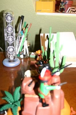 playmo376_205.jpg