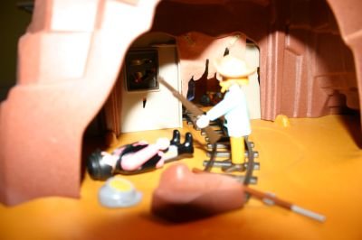 playmo389_170.jpg