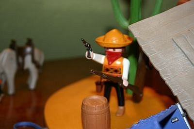 playmo393_254.jpg