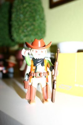 playmo402_205.jpg