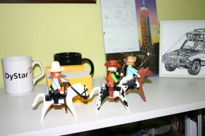 playmo408_172.jpg