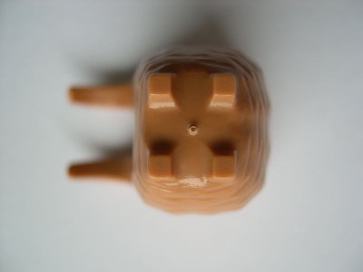 d229.JPG